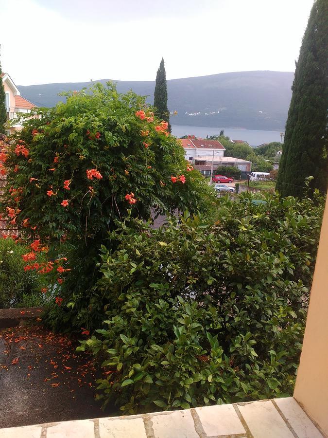Sobe Baosici Marina Hotell Herceg Novi Exteriör bild